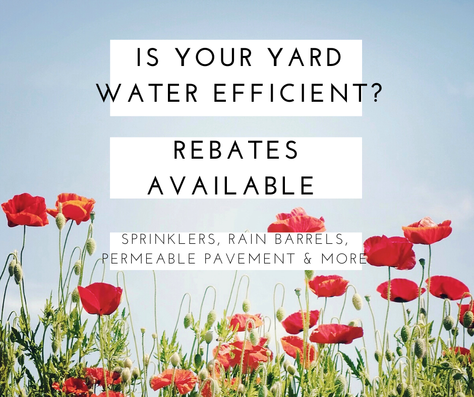 Learn more about water conservation rebates 