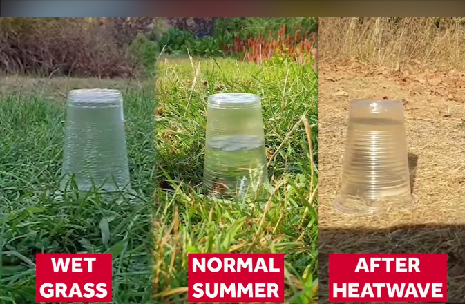 Water experiment visual from University of Reading 